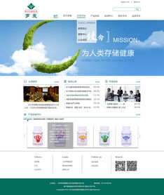 企業(yè)網(wǎng)站設計 構建數(shù)字時代的品牌門面與業(yè)務引擎